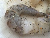 Camarones Envueltos con Tocineta