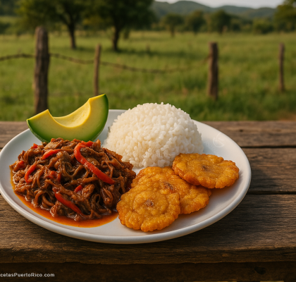 Ropa Vieja Boricua